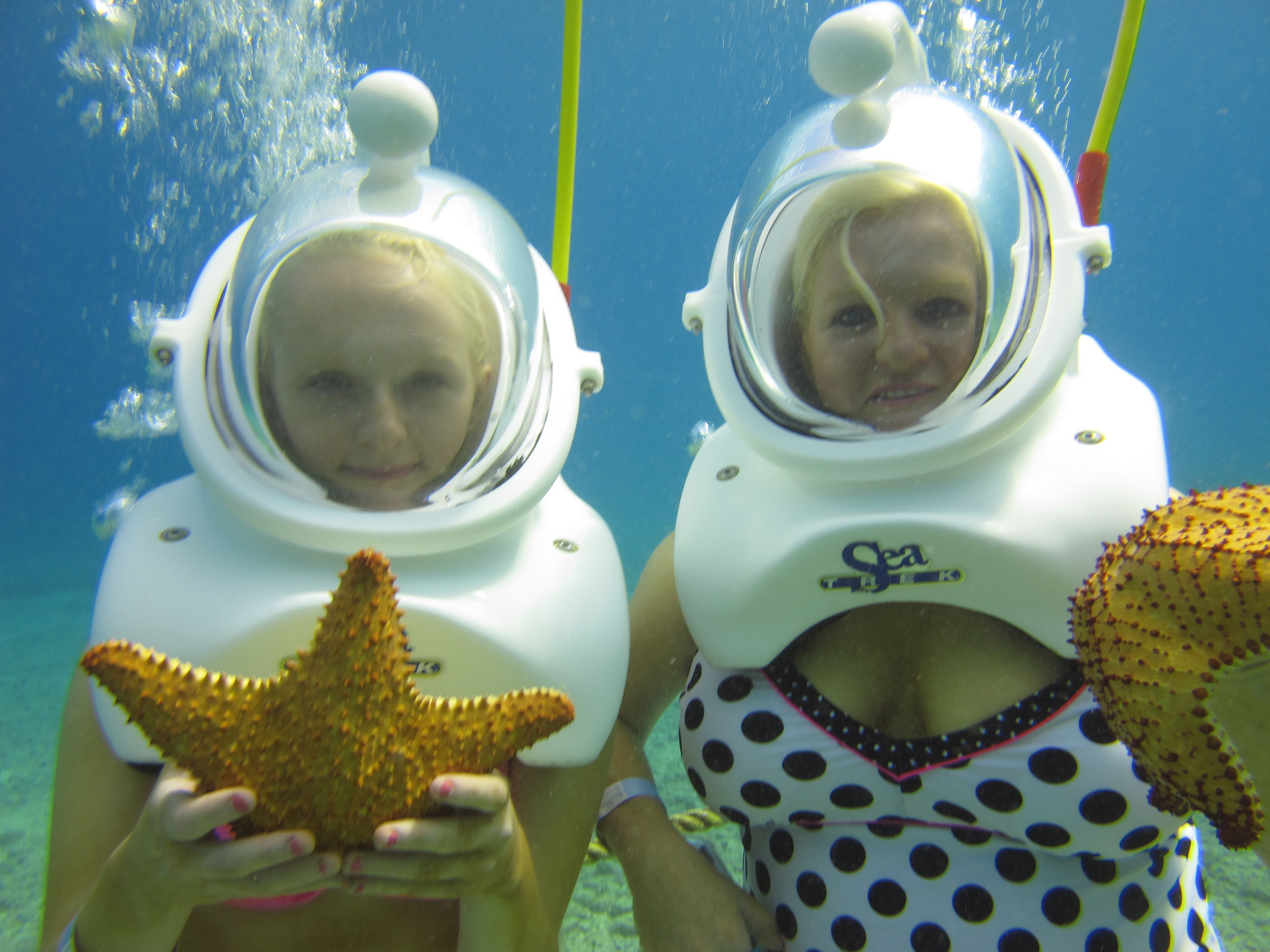 The Cost Of Helmet Diving In Cancun Mexico DesertDivers