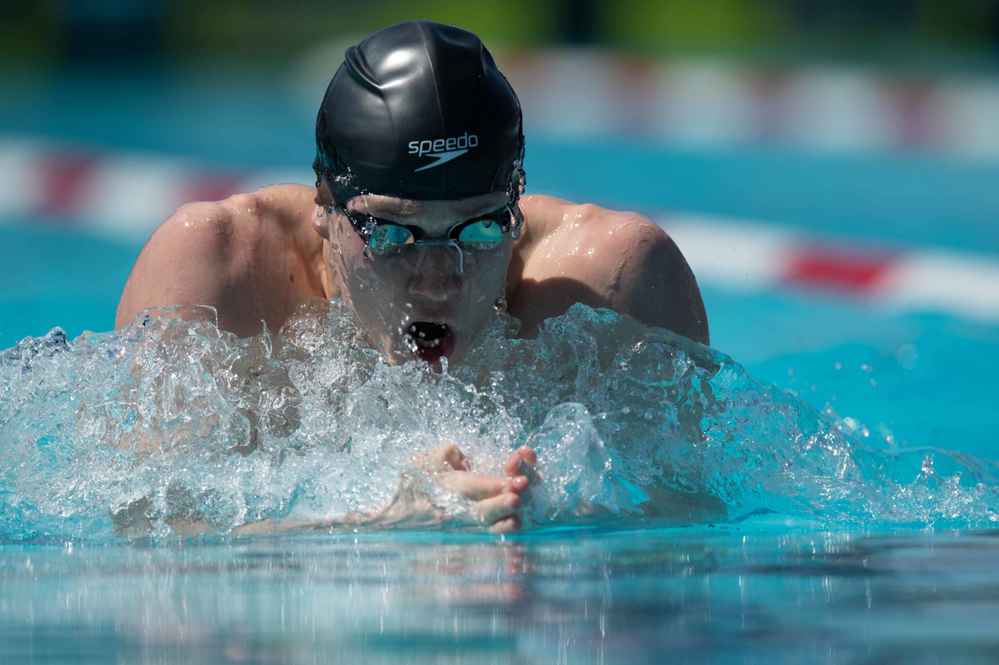 How To A Springboard Diving Coach DesertDivers