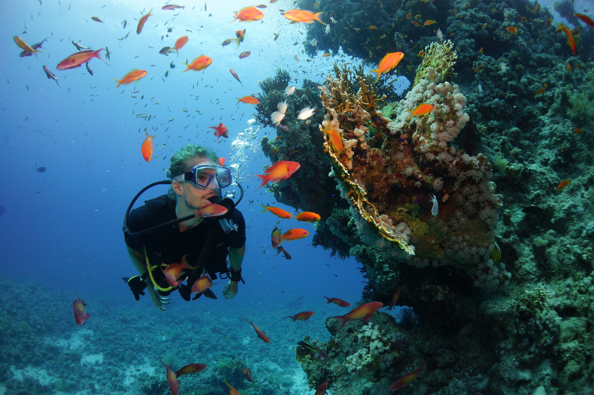 The Best Countries To Learn Scuba Diving DesertDivers