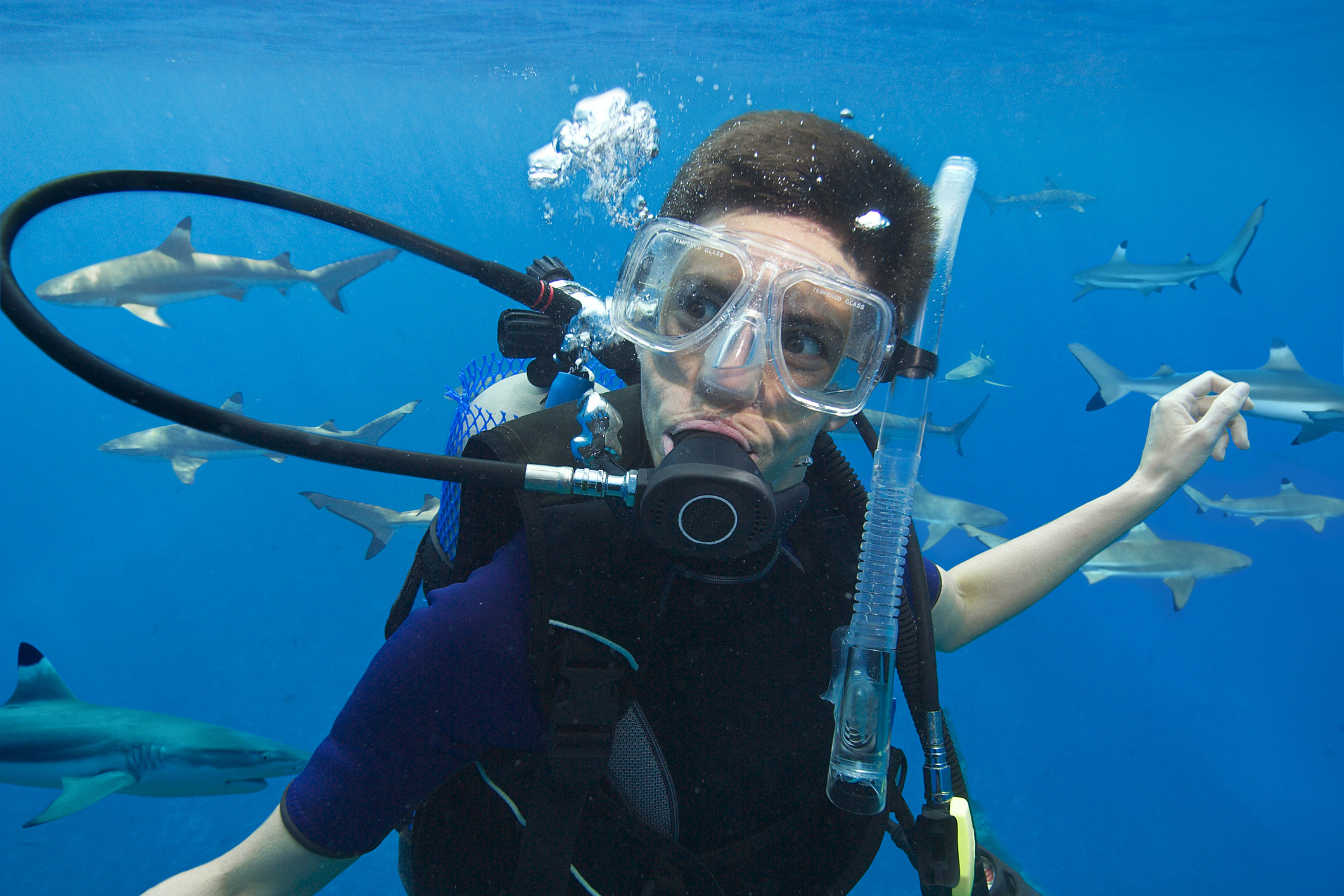 Scuba Diving At Night How To Be Safe And Have Fun DesertDivers