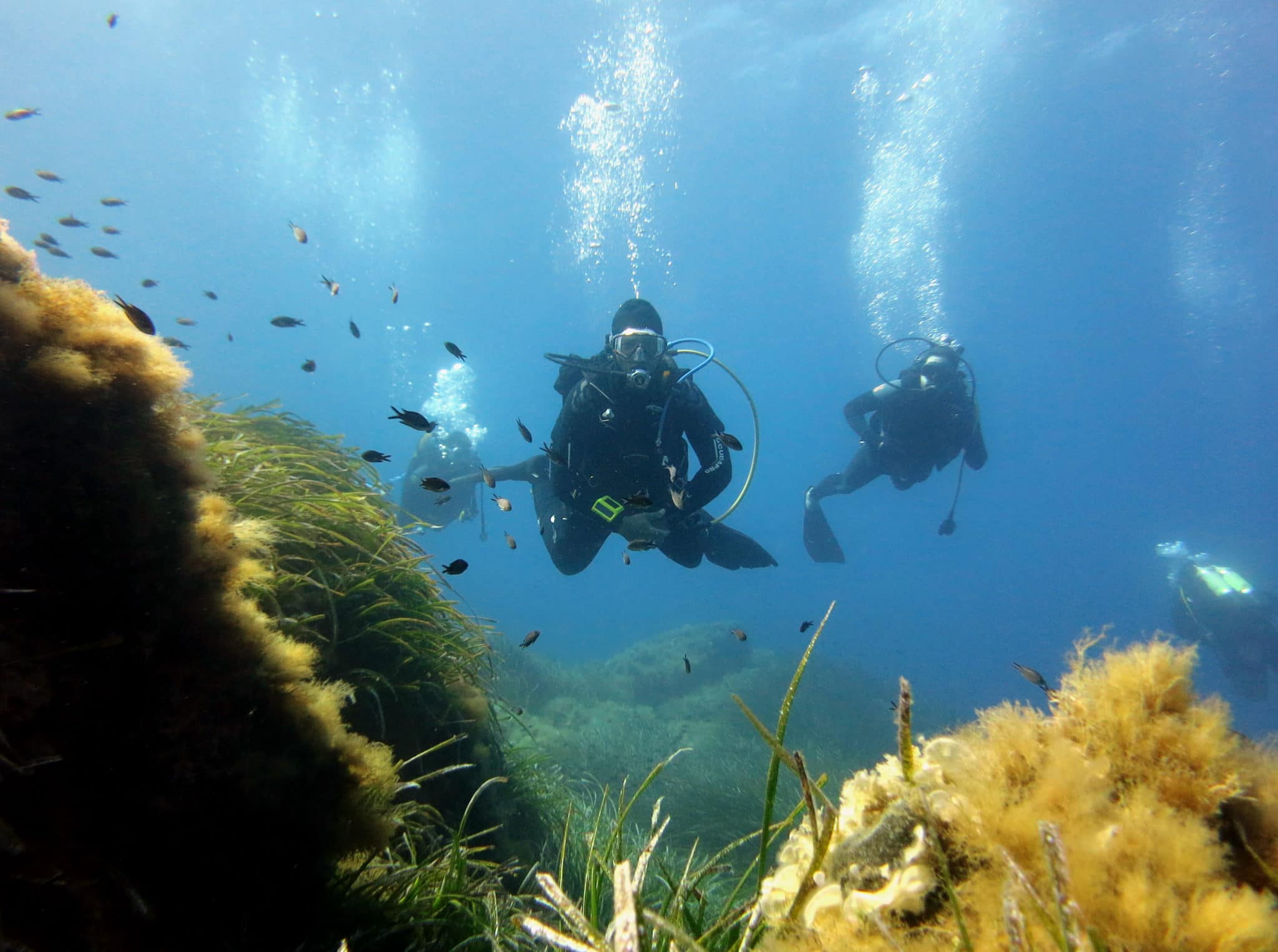What Is A Diving Board In French DesertDivers