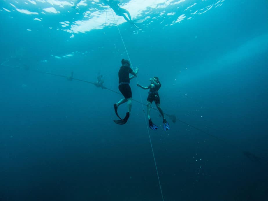 Freediving Weights How To Choose The Right Amount For Your Dive