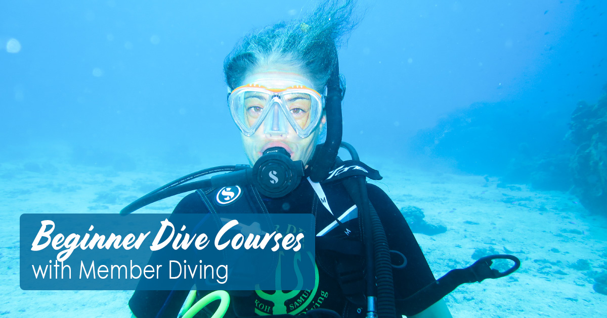 Where Can I Take Diving Classes Near Me DesertDivers