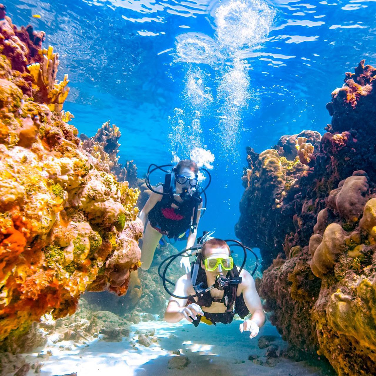 Scuba Diving In Dubai A Beginner’s Guide DesertDivers
