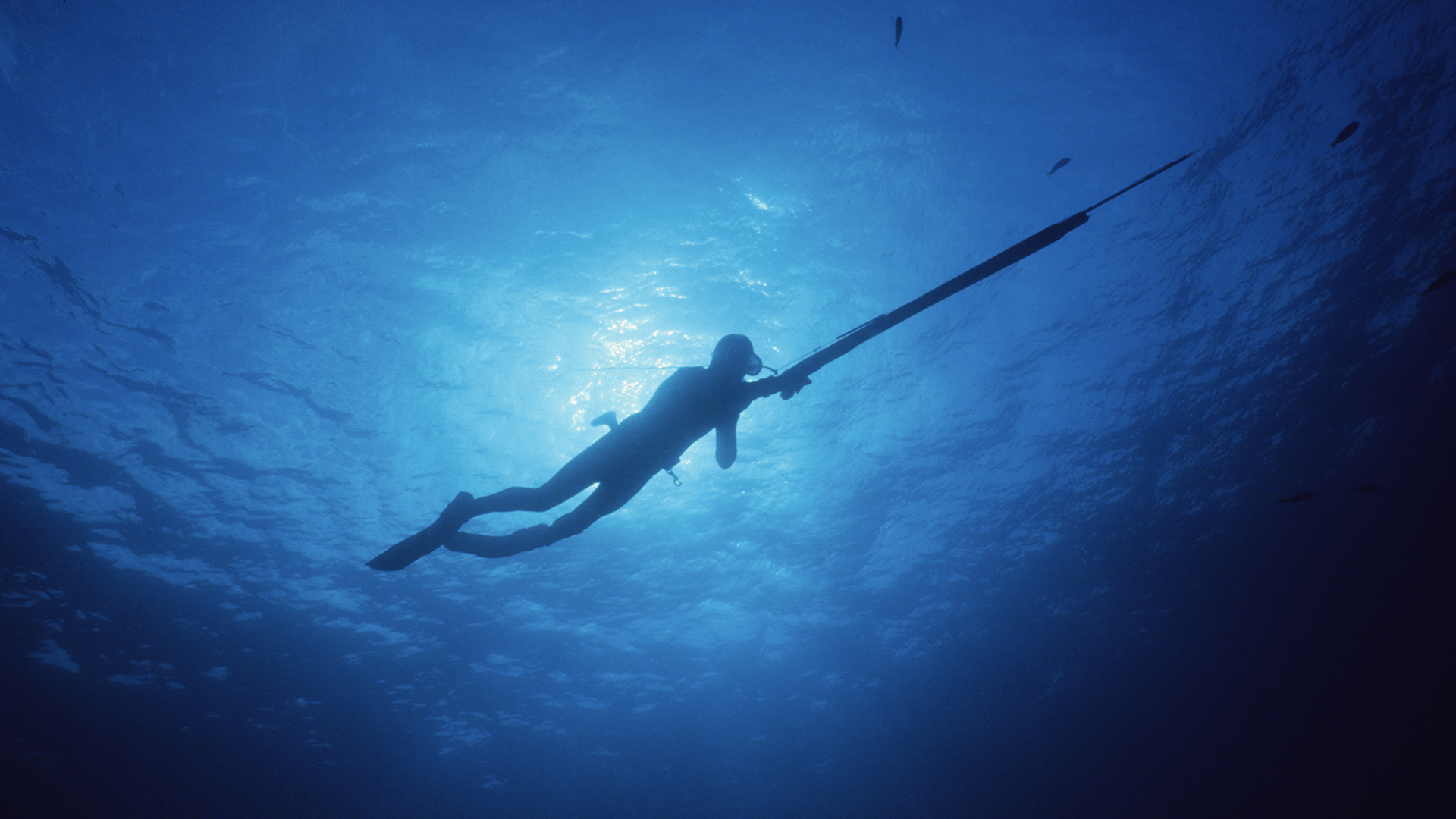 The Proper Techniques For Freediving DesertDivers