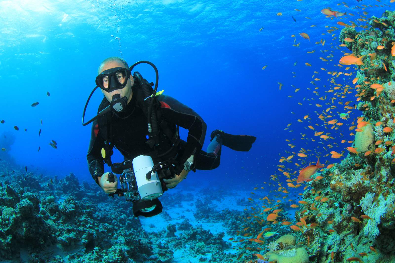 Scuba Diving In Aruba DesertDivers