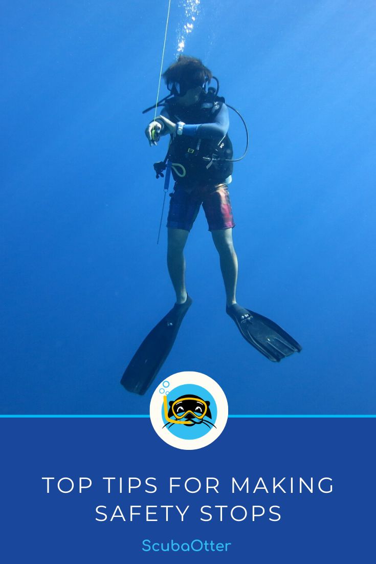 Why High Diving Is One Of The Most Dangerous Sports In The World DesertDivers