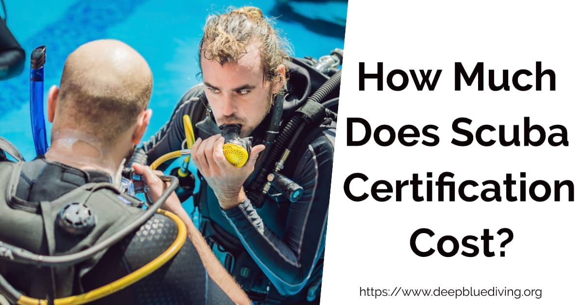 The Cost Of Scuba Diving Certification A Comprehensive Guide