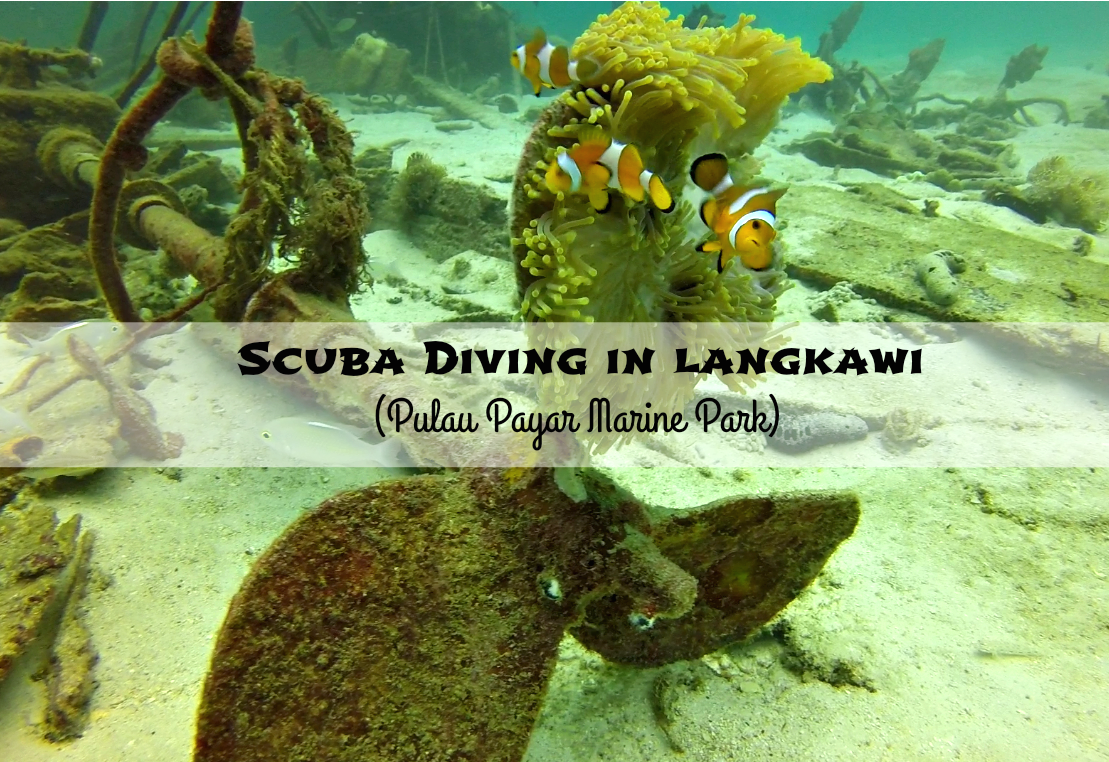 The Best Diving Spots In Langkawi Malaysia DesertDivers