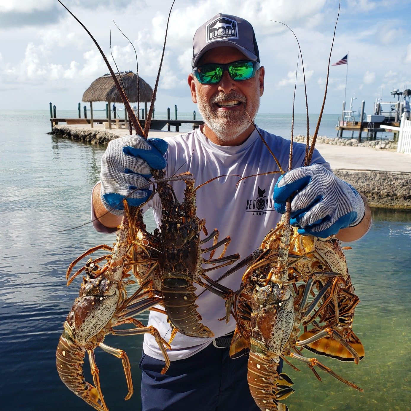 How To Catch Lobster Scuba Diving DesertDivers