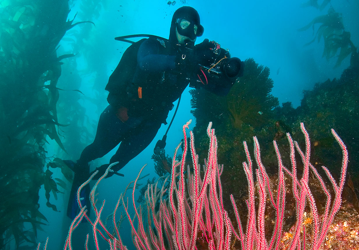 Diving In Laos A Guide To The Best Dive Sites In The Country