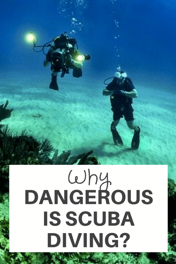 Scuba Diving And The Underwater World Predators To Avoid DesertDivers