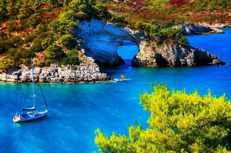 Sardinia A Scuba Diving Haven In The Mediterranean DesertDivers