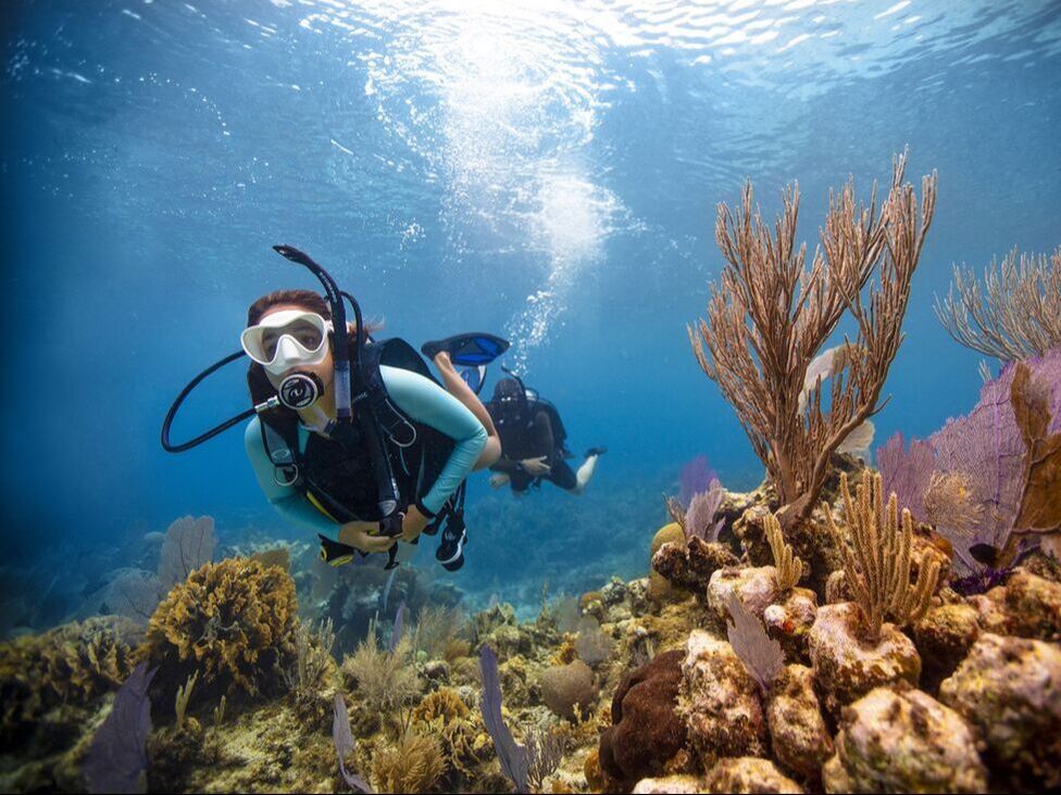 Best Diving Spots In Hong Kong DesertDivers