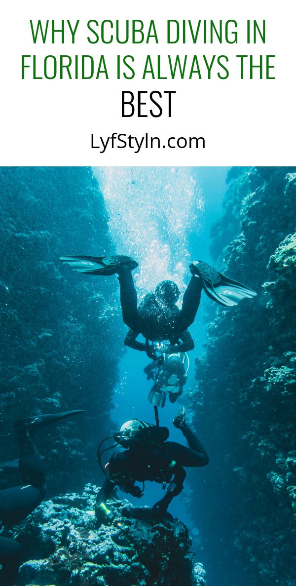 The Best Places To Scuba Dive In Florida DesertDivers