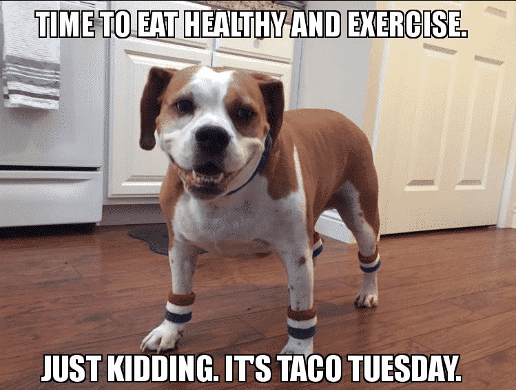 27 TACO MEMES FOR TACO TUESDAY OR ANY DAY DesignBump