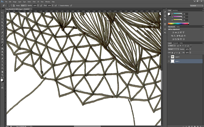 8 Simple Steps to Convert Hand Drawings into Vectors