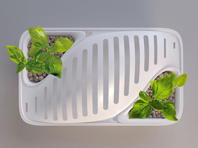 2 in 1 Dish Rack Planter “Fluidity” by DesignLibero