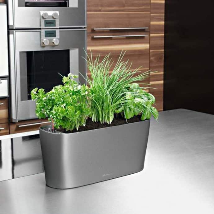 10 Gadgets for Your Kitchen Herbs