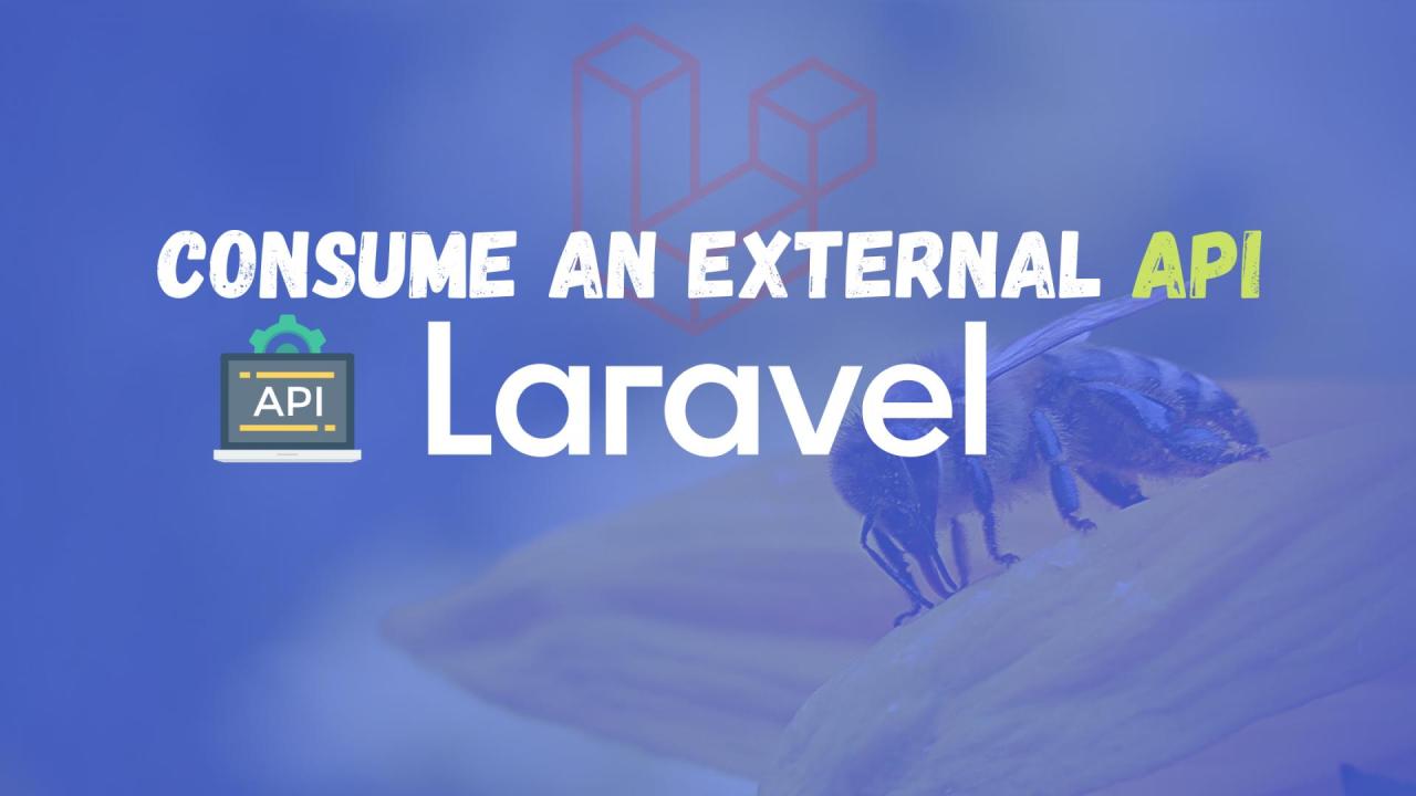 How to consume an external API with Laravel and Guzzle