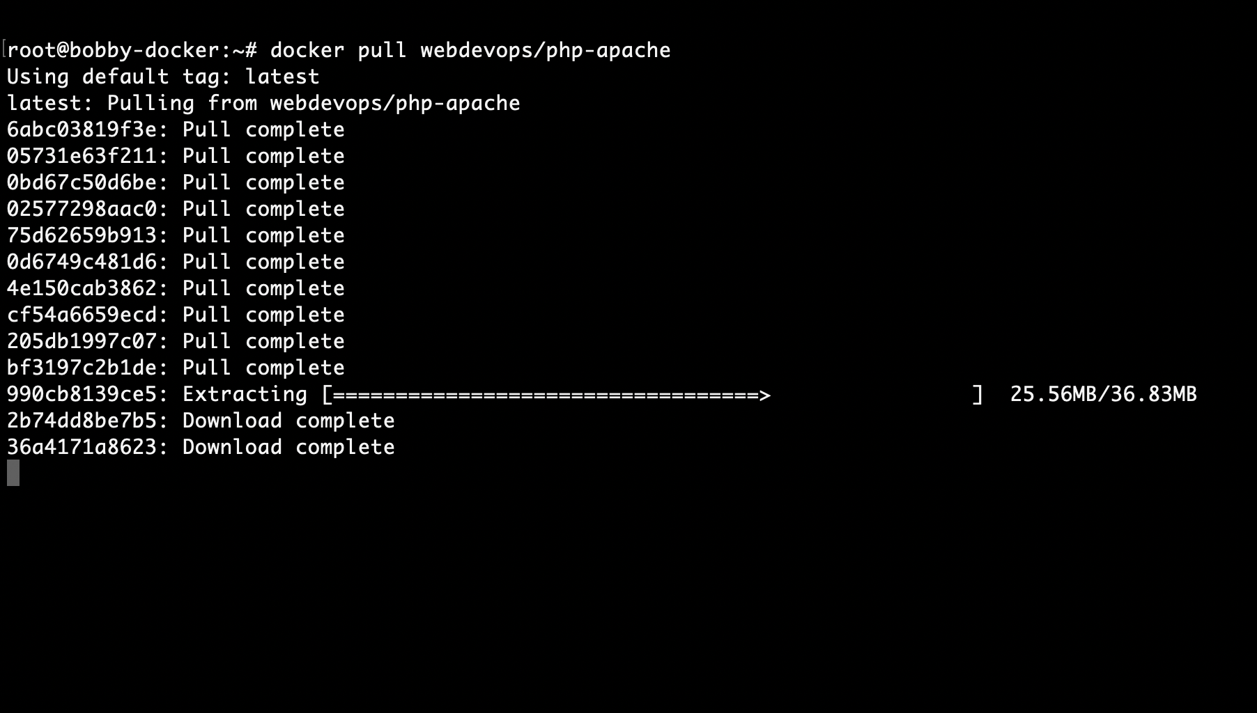 9 Basic Docker Commands with Examples