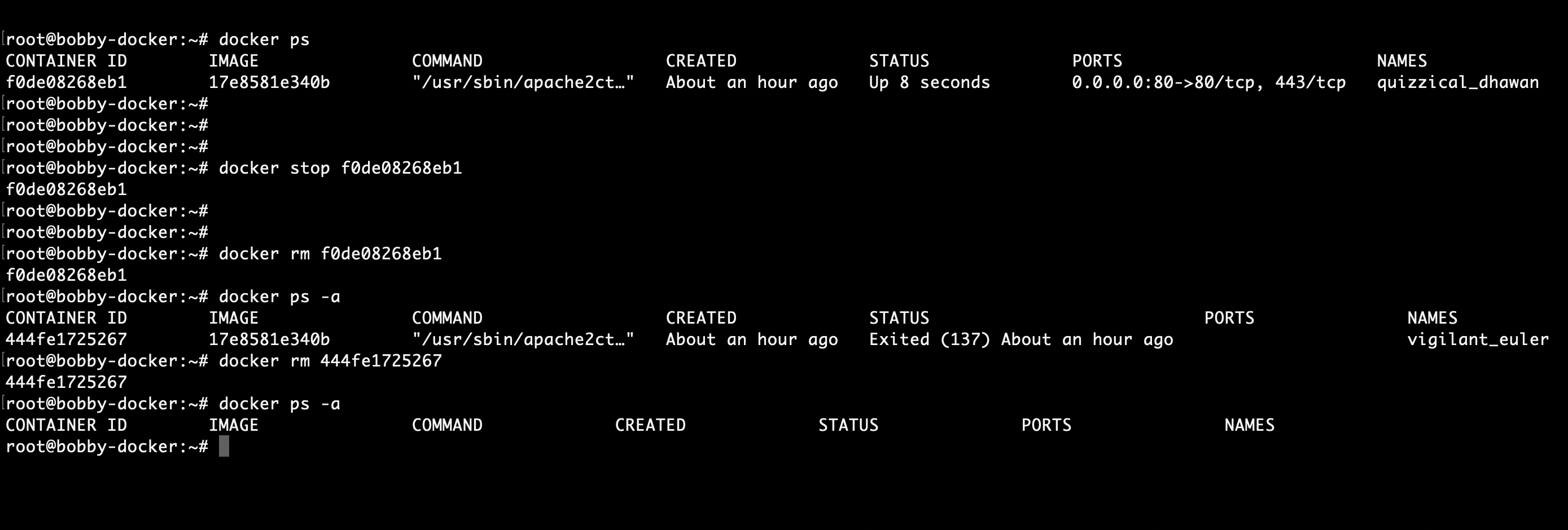 9 Basic Docker Commands with Examples