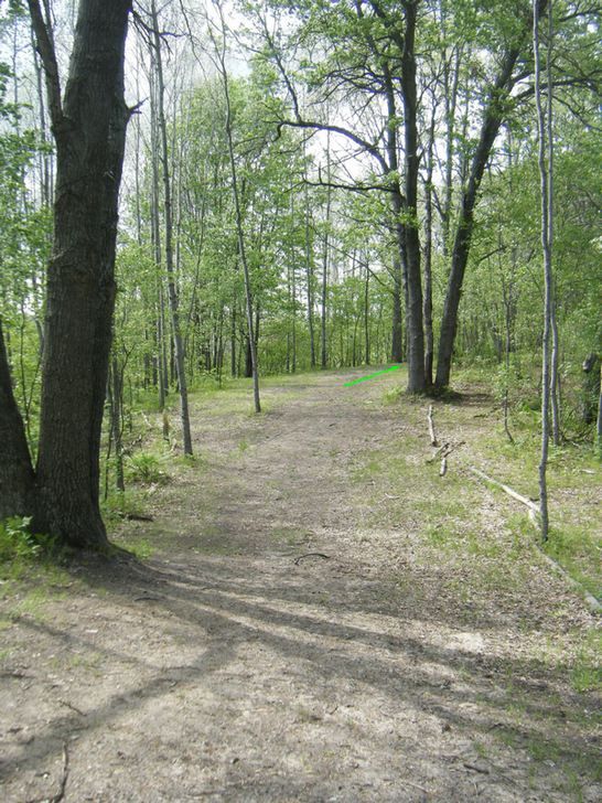 Northend Riverside Park East Disc Golf Course Review