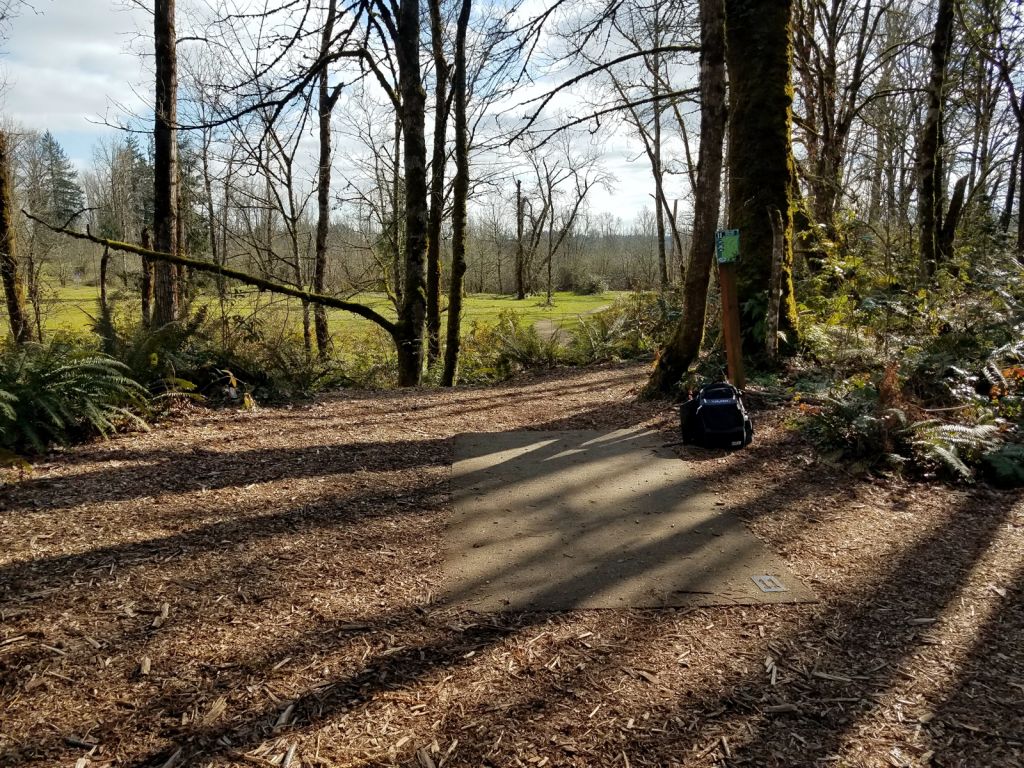 Hole 11 Tee Disc Golf Course Review