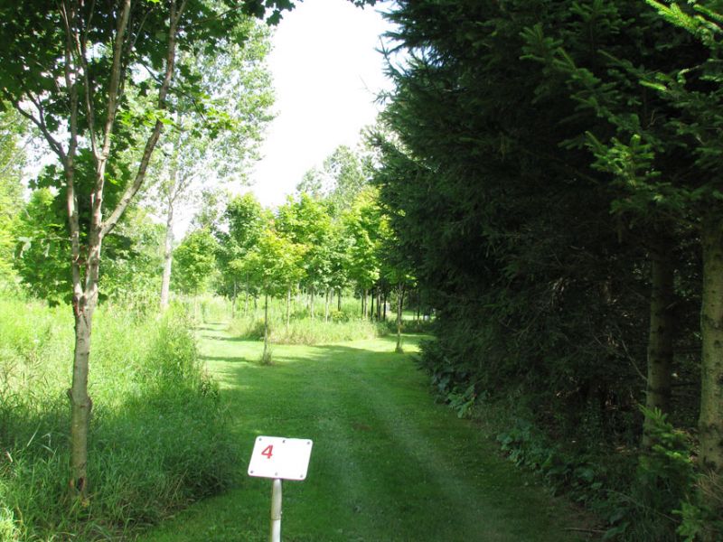 HOD 4/22/2024 Lake Whittaker Conservation Park Hole 4 Harrietsville