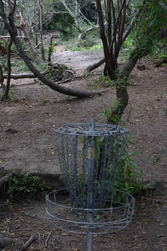 Cooper Gulch Disc Golf Course Review