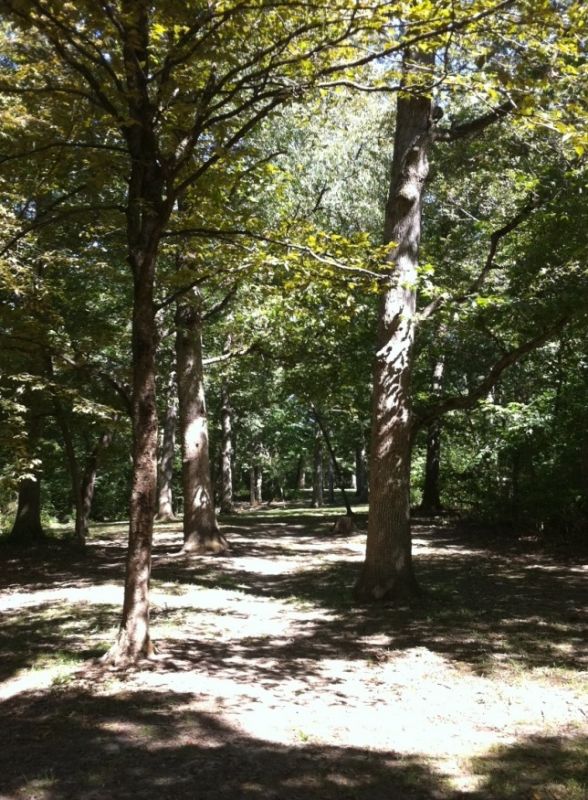 Northwood Park Blue Disc Golf Course Review