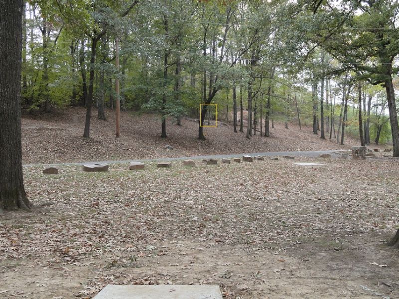 Hindman Park Disc Golf Course Review