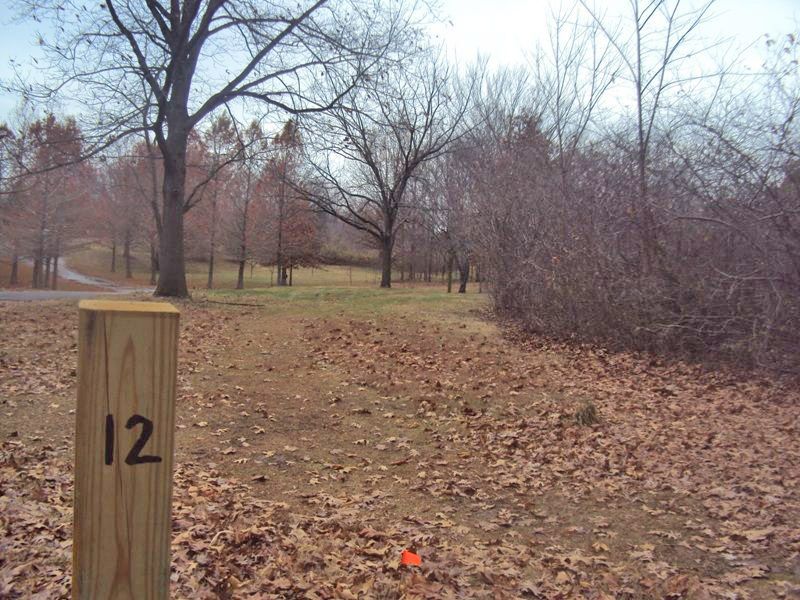Hole 12 Tee Disc Golf Course Review