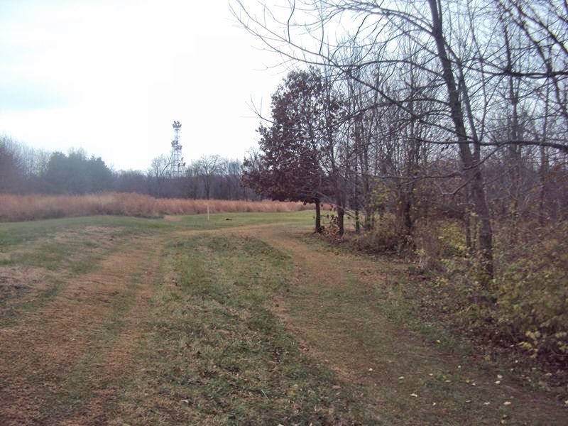 Hole 16 Tee Disc Golf Course Review