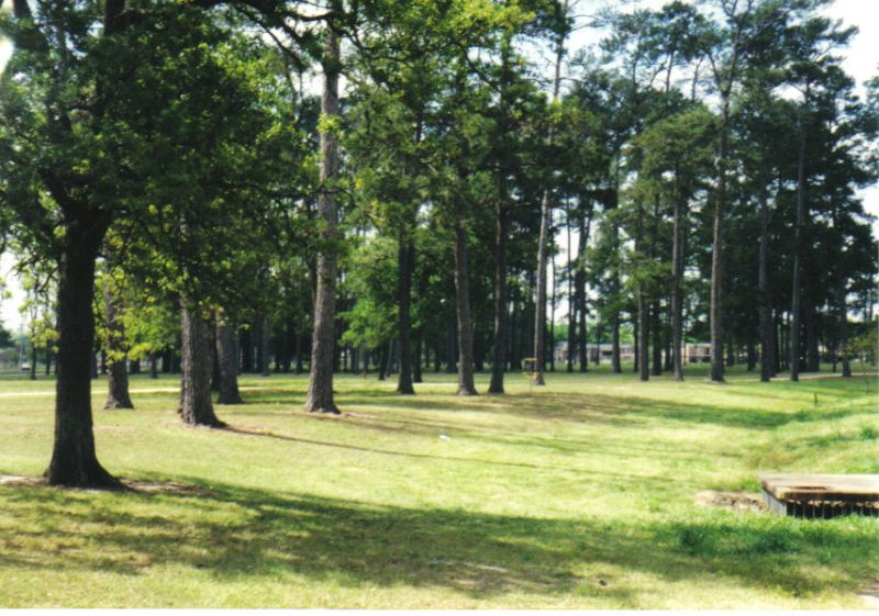 TC Jester Park Old Layout Disc Golf Course Review