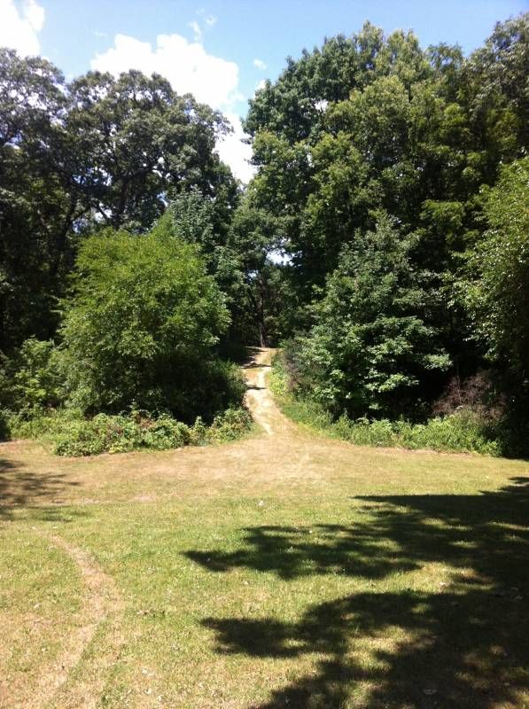 Marilla Park DGC Disc Golf Course Review