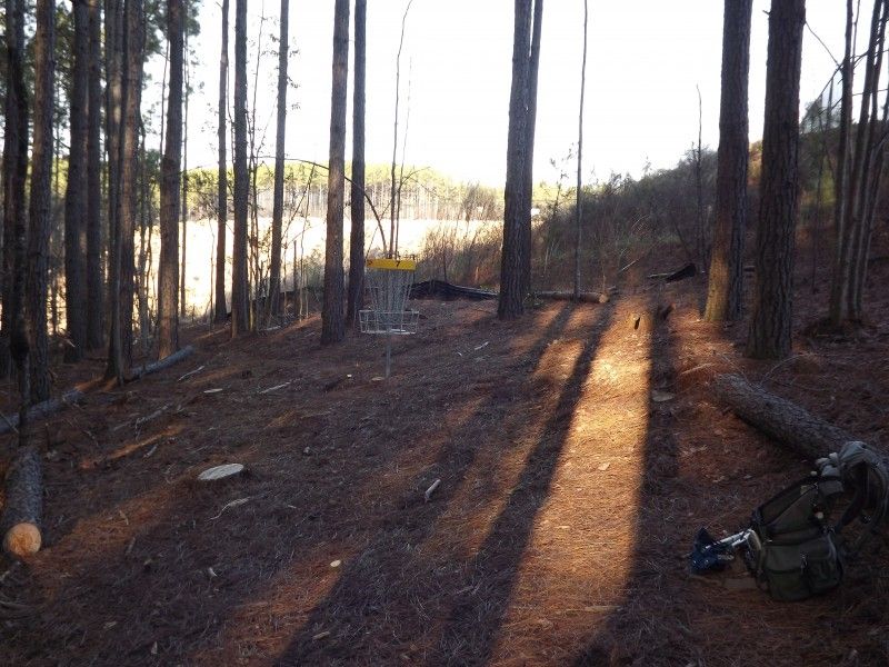 Sawmills Veterans Park Original Disc Golf Course Review