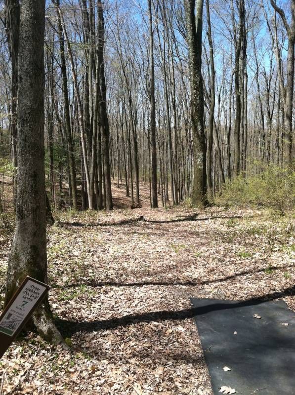 Prince Gallitzin State Park Disc Golf Course Review