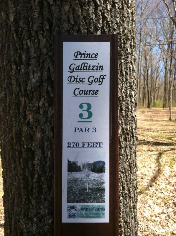 Prince Gallitzin State Park Media Disc Golf Course Review