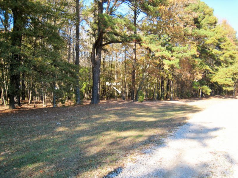 Zebulon Community Park Disc Golf Course Review