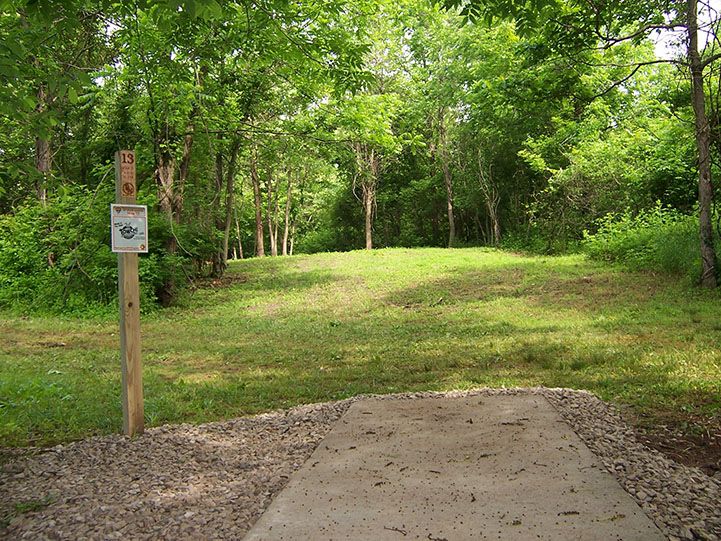 Sioux Passage Briscoe Woods Disc Golf Course Review