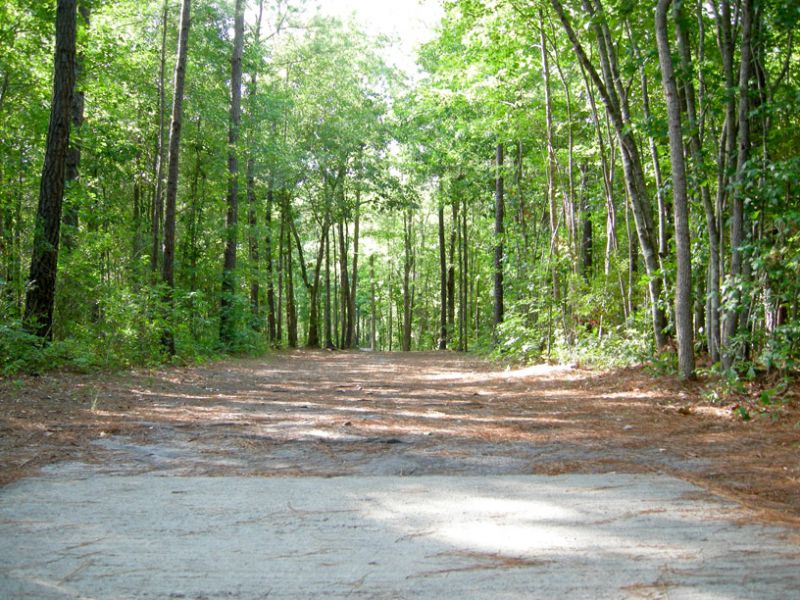 Castle Hayne Park Disc Golf at Sharon Greiner blog