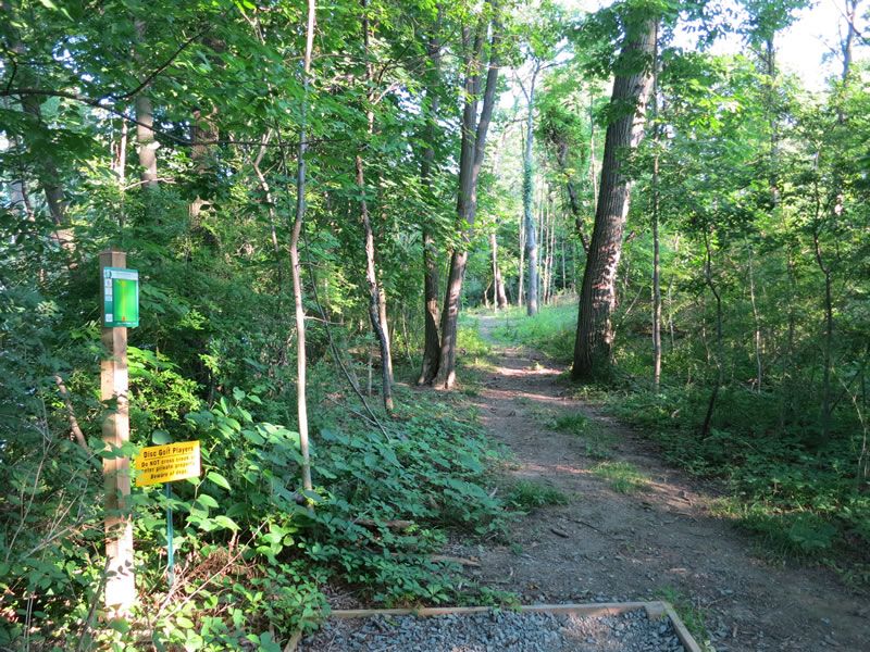 Binghamton University DGC Disc Golf Course Review