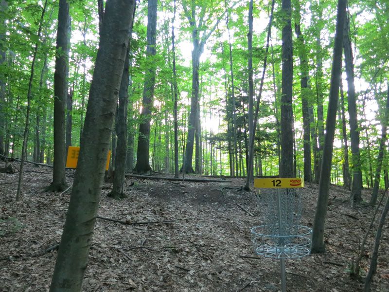 Binghamton University DGC Disc Golf Course Review