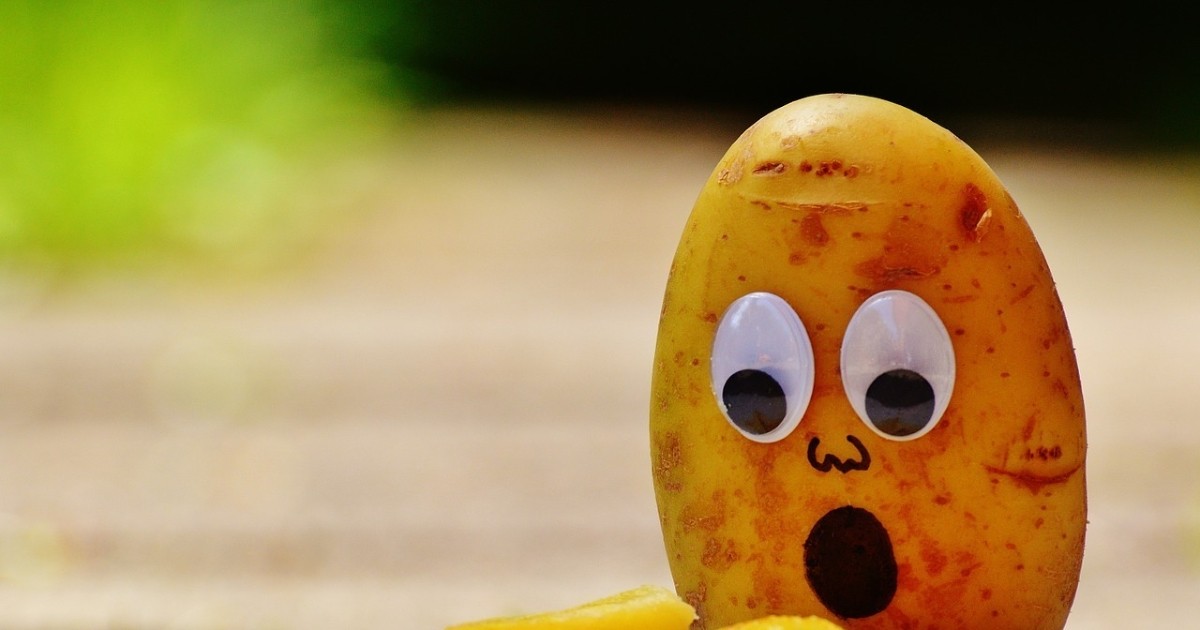 O que significa a gíria É BATATA e de onde ela surgiu Dicionário Popular