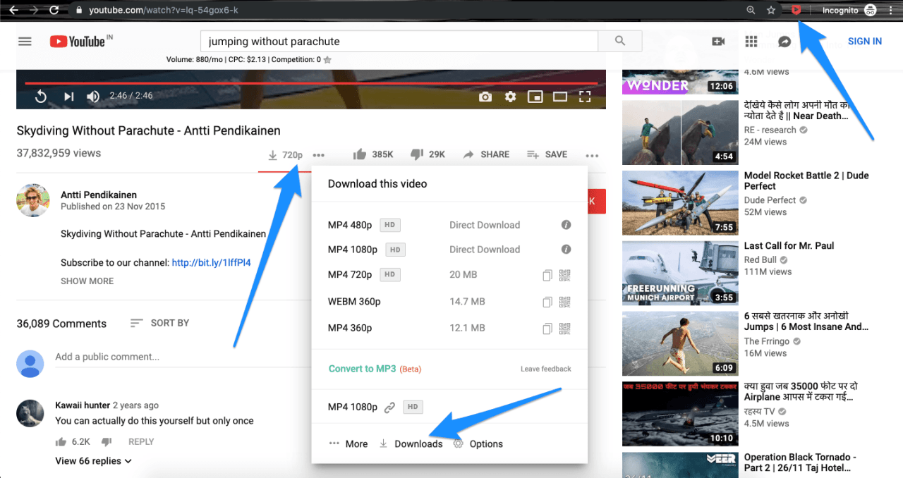 Tube Video Downloader Chrom…