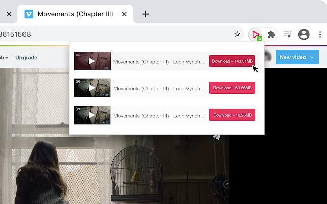 10 Best Video Downloader Chrome Extensions in 2021