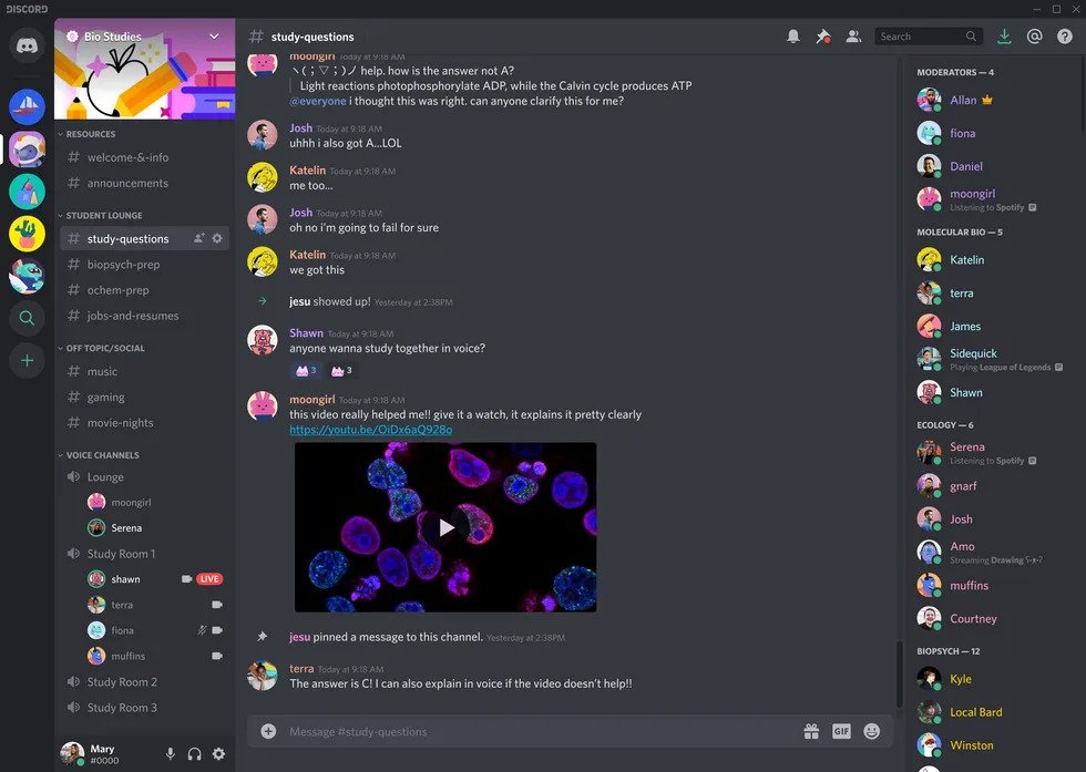 Как использовать Rythm Bot на Discord в 2023 году Dvax
