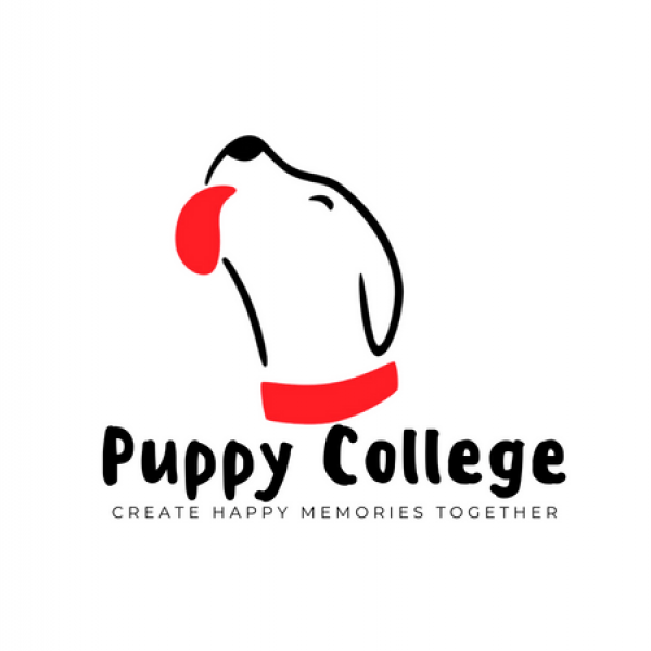 Puppy College on Direct.me