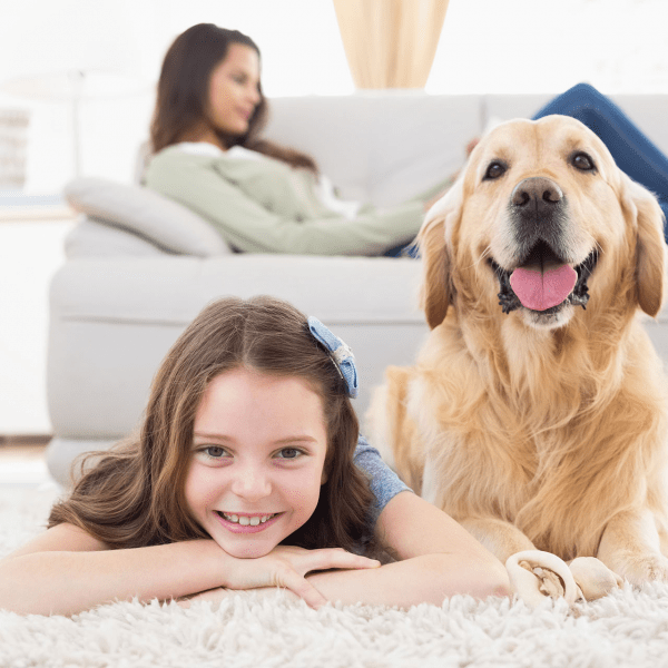 Pet Dedicated on Direct.me